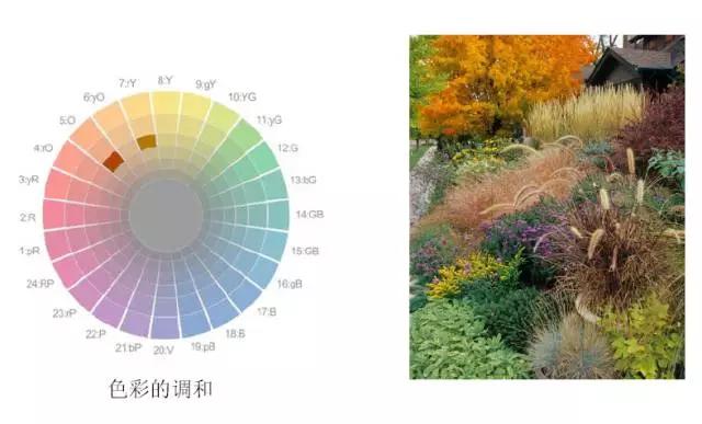 花園設(shè)計(jì)中該如何營(yíng)造美麗的花境
