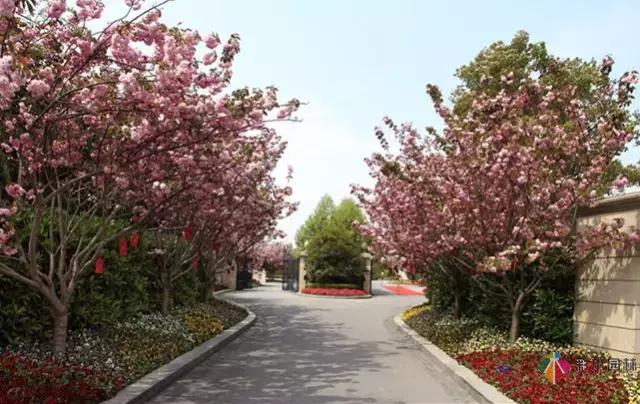花園設(shè)計(jì)中該如何營(yíng)造美麗的花境