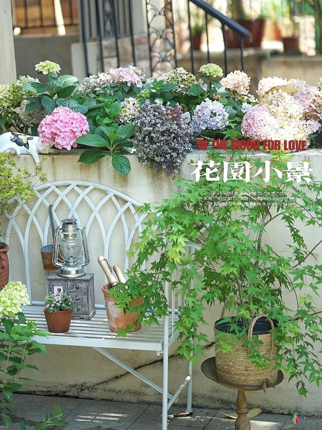 DIY園藝:自建設計100㎡花園?；ú涣硕嗌馘X，卻很有成就感。