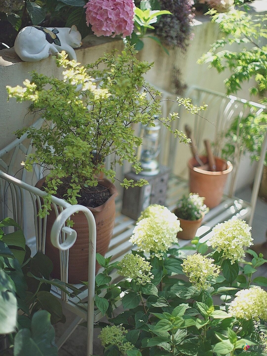 DIY園藝:自建設計100㎡花園?；ú涣硕嗌馘X，卻很有成就感。