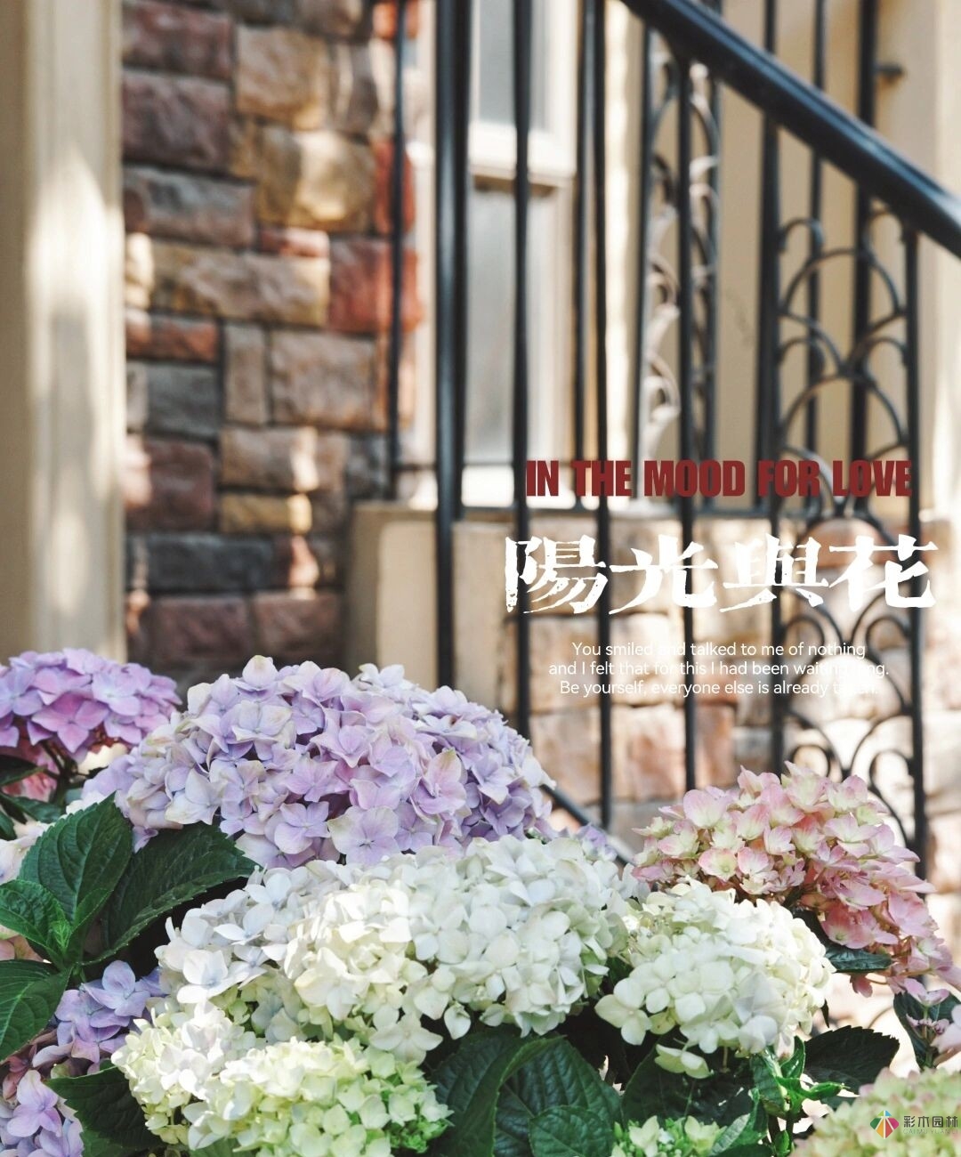 DIY園藝:自建設計100㎡花園?；ú涣硕嗌馘X，卻很有成就感。