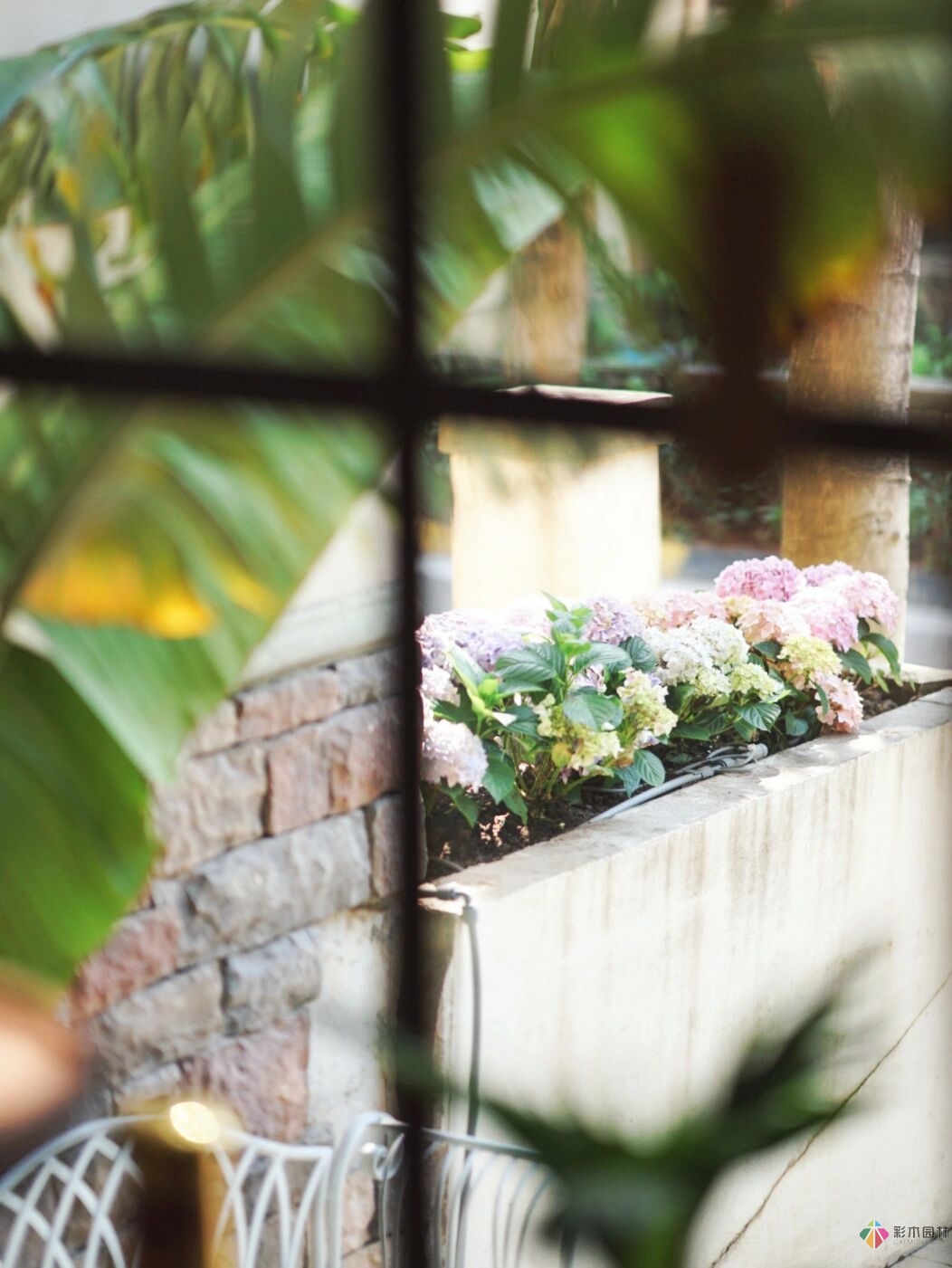 DIY園藝:自建設計100㎡花園?；ú涣硕嗌馘X，卻很有成就感。