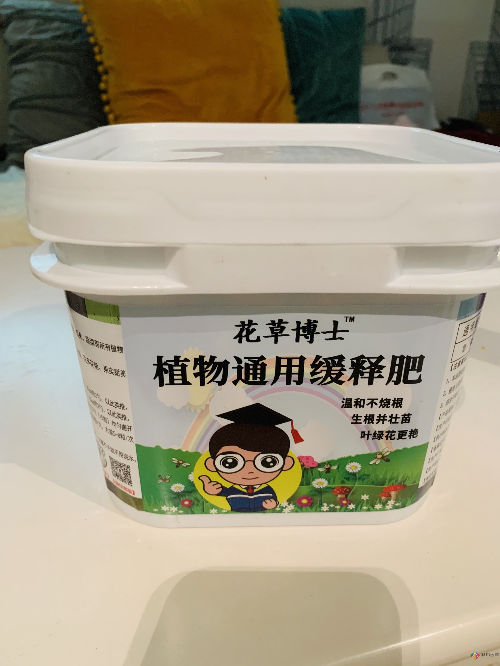 DIY園藝:自建設計100㎡花園。花不了多少錢，卻很有成就感。