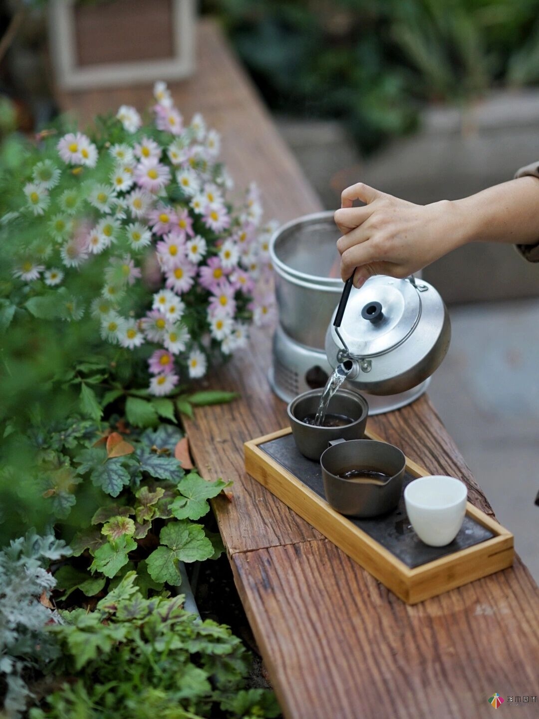 DIY園藝:自建設計100㎡花園。花不了多少錢，卻很有成就感。