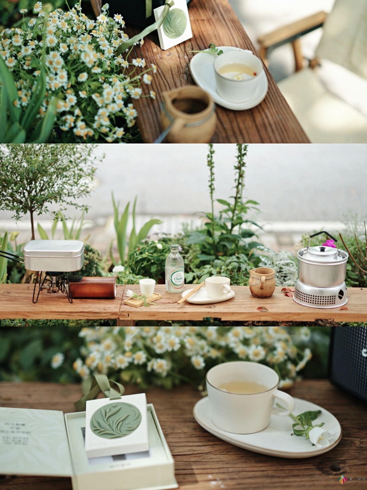 DIY園藝:自建設計100㎡花園?；ú涣硕嗌馘X，卻很有成就感。
