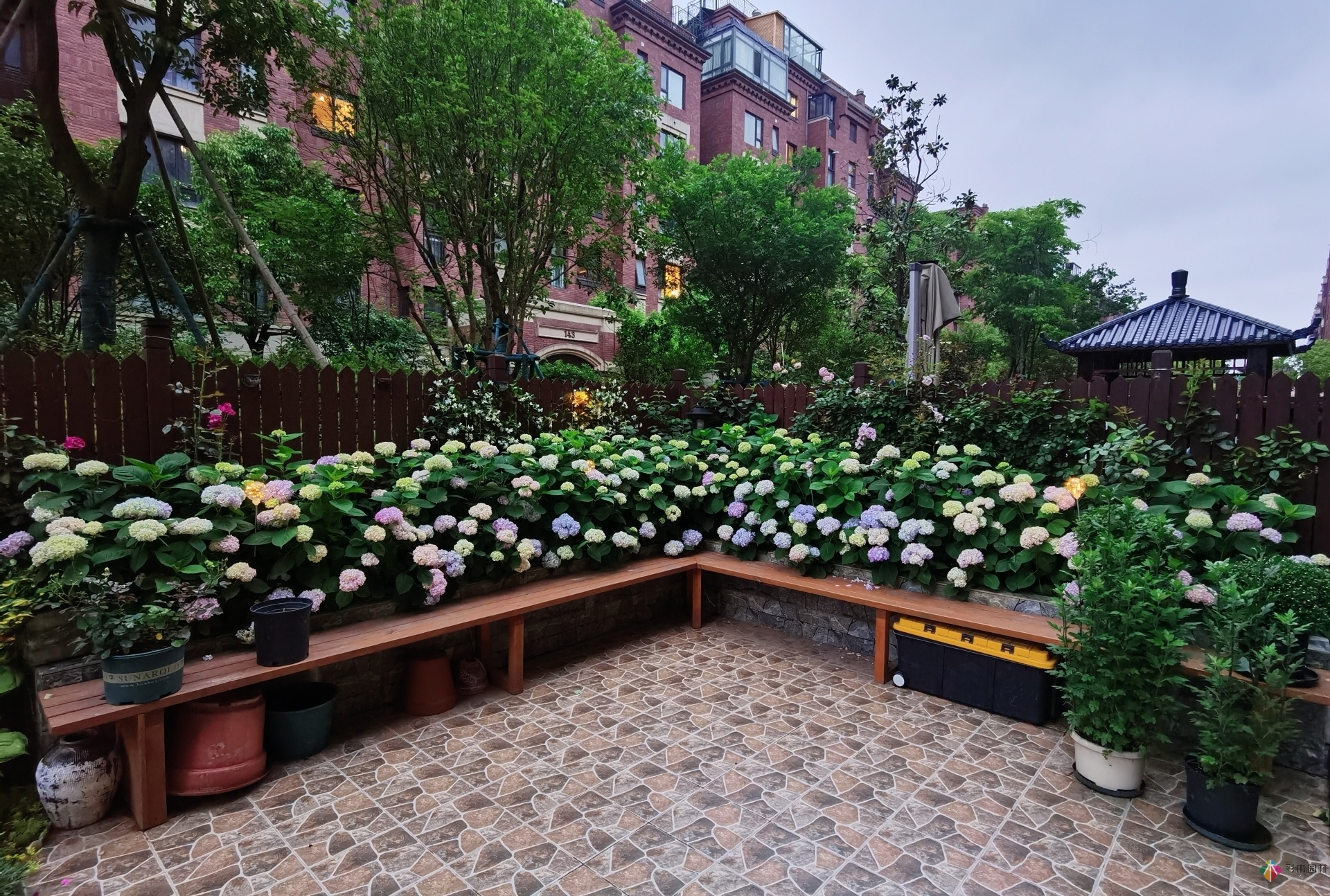 不顧父母反對(duì)，買了一層110㎡的院子，自己一個(gè)人折騰成花園。就這么治好了。
