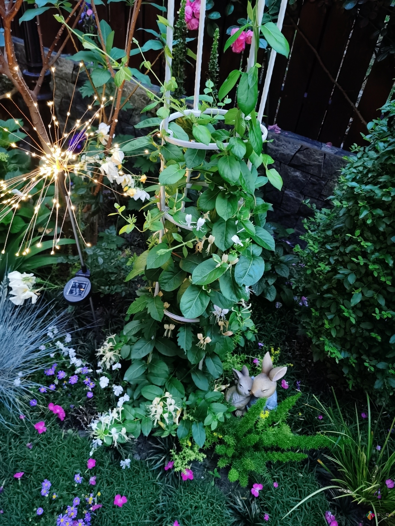 不顧父母反對(duì)，買了一層110㎡的院子，自己一個(gè)人折騰成花園。就這么治好了。
