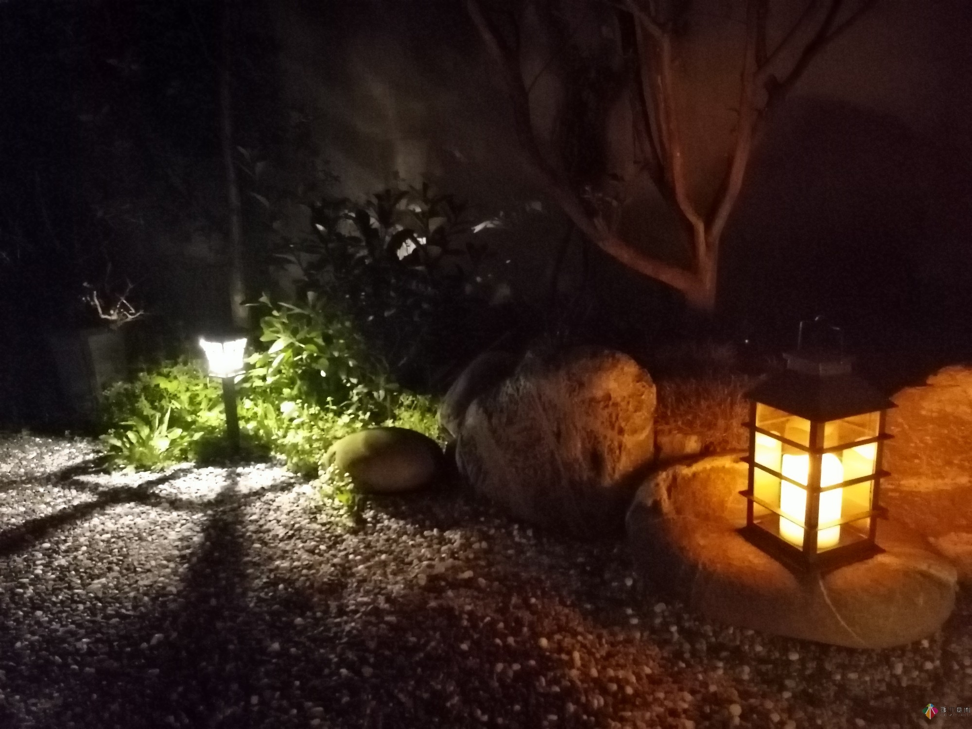 不顧父母反對(duì)，買了一層110㎡的院子，自己一個(gè)人折騰成花園。就這么治好了。
