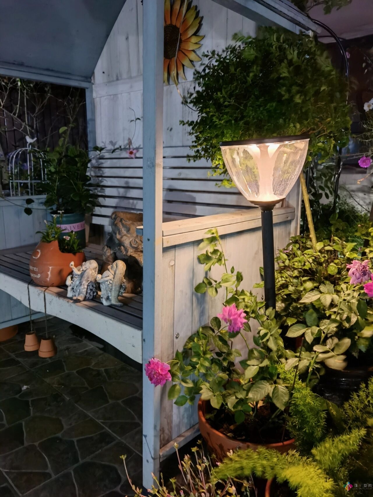 不顧父母反對(duì)，買了一層110㎡的院子，自己一個(gè)人折騰成花園。就這么治好了。
