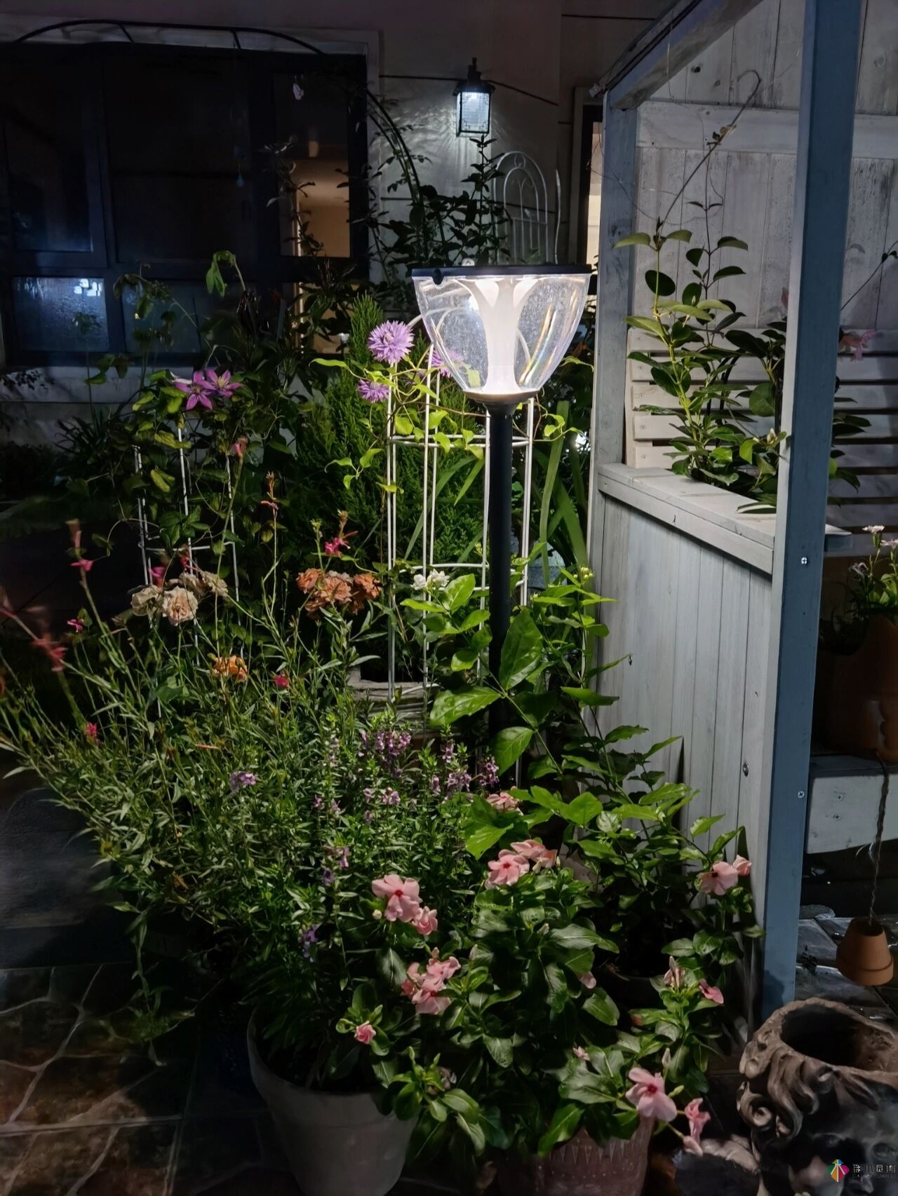 不顧父母反對(duì)，買了一層110㎡的院子，自己一個(gè)人折騰成花園。就這么治好了。
