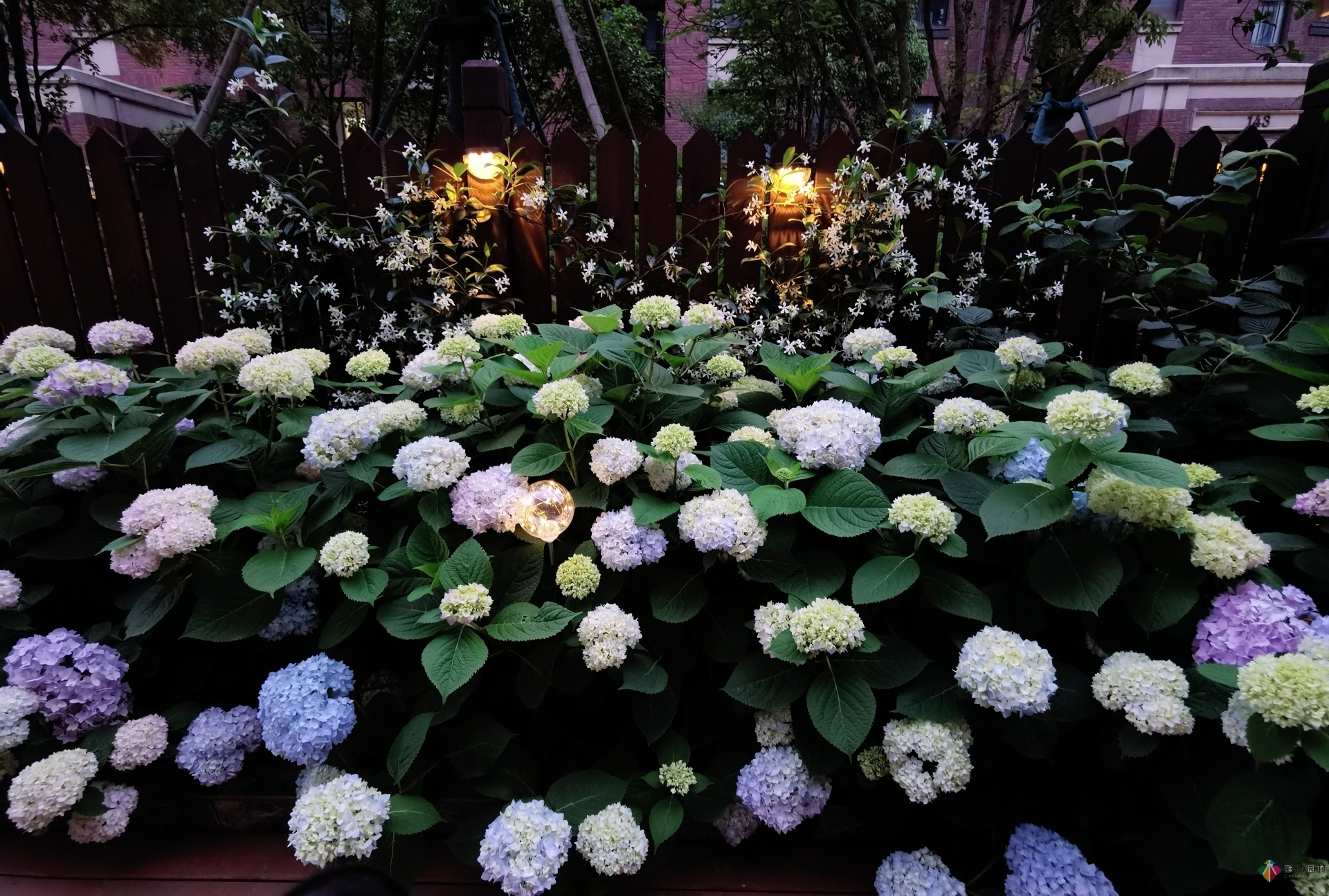 不顧父母反對(duì)，買了一層110㎡的院子，自己一個(gè)人折騰成花園。就這么治好了。
