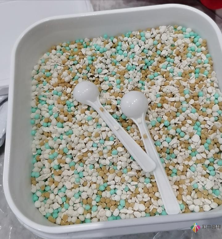 不顧父母反對(duì)，買了一層110㎡的院子，自己一個(gè)人折騰成花園。就這么治好了。
