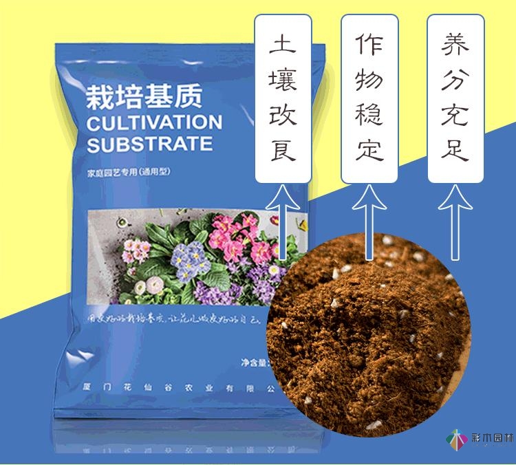 不顧父母反對(duì)，買了一層110㎡的院子，自己一個(gè)人折騰成花園。就這么治好了。
