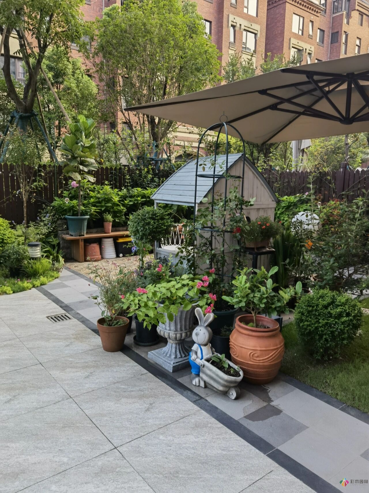 不顧父母反對(duì)，買了一層110㎡的院子，自己一個(gè)人折騰成花園。就這么治好了。
